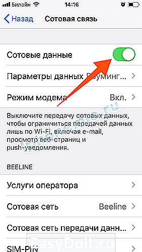 Как отключить передачу данных на айфоне. Отключение передачи данных iphone. Как отключить передачу мобильных данных на айфоне. Сотовые данные в айфоне что это.